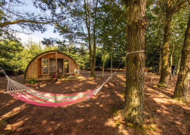 A Comfortable and Unique Outdoor Adventure: Farm Glamping with Firepits