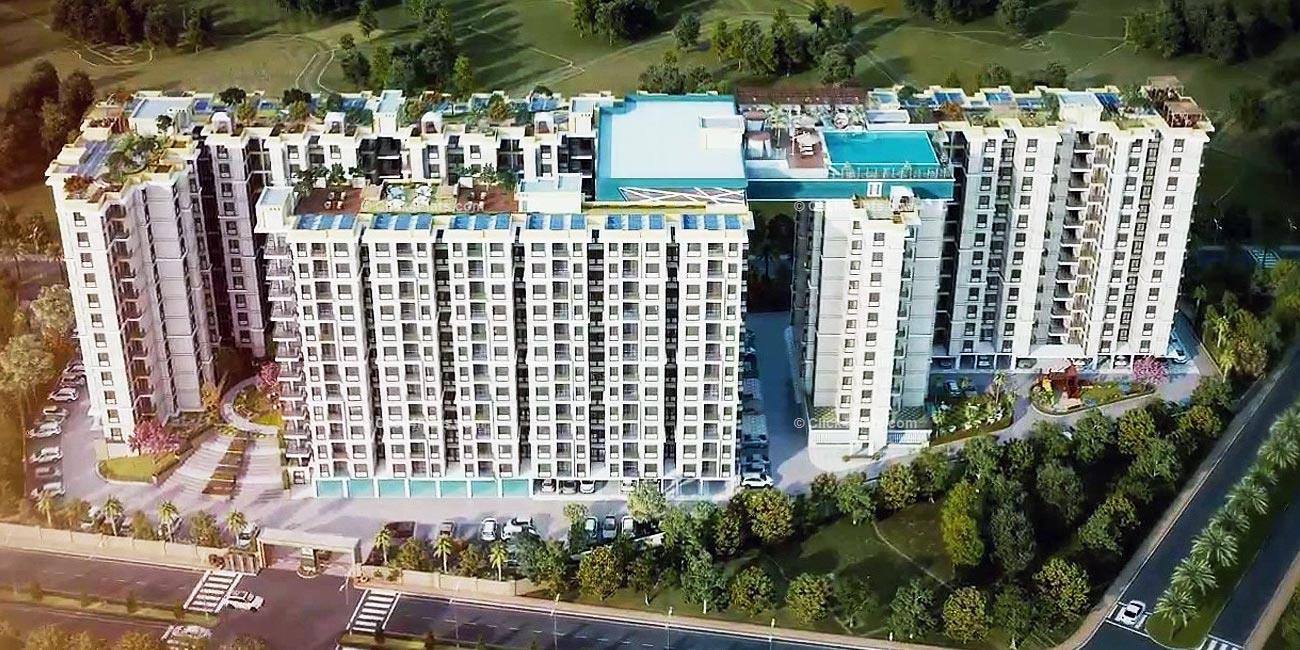 friendly rental homes near me