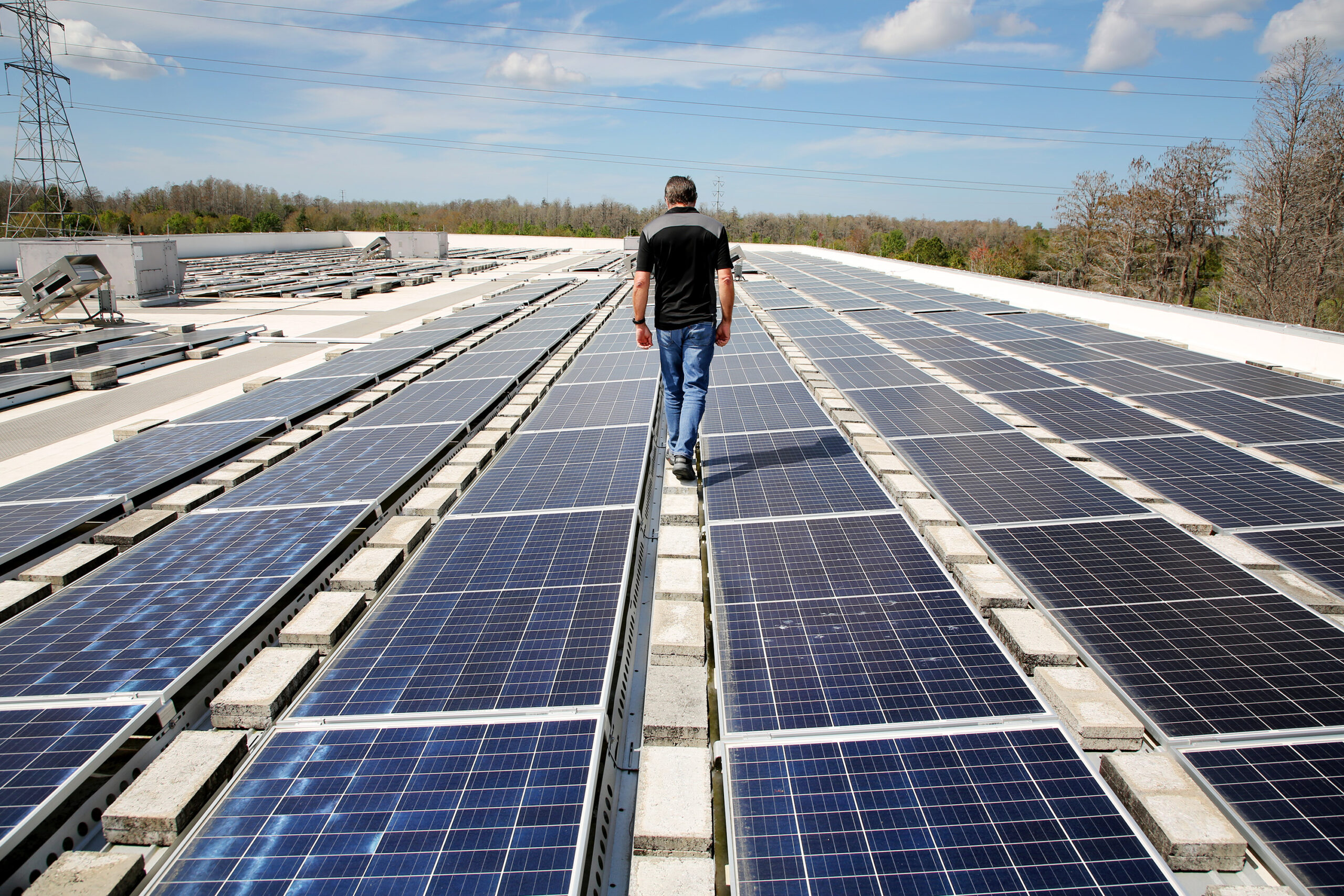 Future-Proof Home Investments Start With Durable And Efficient Solar Panel Systems